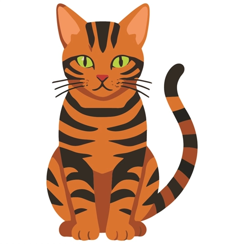 Cat Lovers Theme Orange Tabby Cat Transparent Sticker